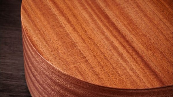 Taylor 24ce Solid Mahogany top | Sapele Back and sides | Fishman Pick-up - Image 10