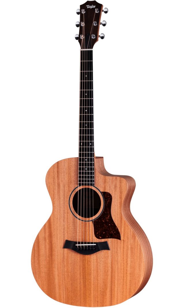Taylor 24ce Solid Mahogany top | Sapele Back and sides | Fishman Pick-up