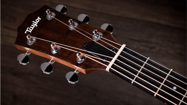 Taylor 24ce Solid Mahogany top | Sapele Back and sides | Fishman Pick-up - Image 6