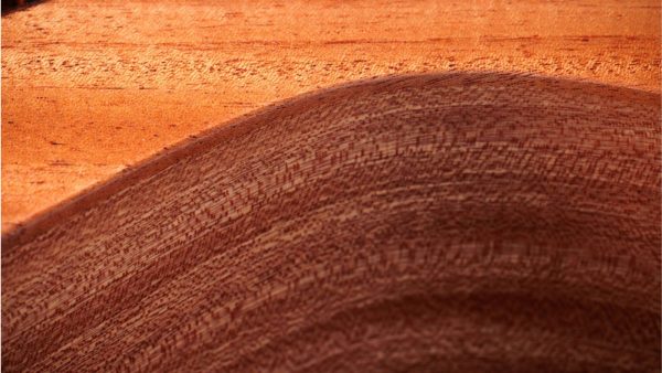 Taylor 24ce Solid Mahogany top | Sapele Back and sides | Fishman Pick-up - Image 4