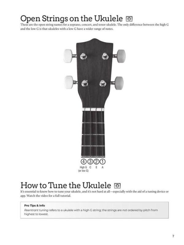 Do-It-Yourself Ukulele | The Best Step-by-Step Guide to Start - Image 9