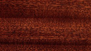 Taylor 14ce Solid Torrefied Spruce top | Sapele Back and sides | Fishman Pick-up