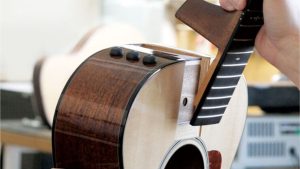 Taylor 14ce Solid Torrefied Spruce top | Sapele Back and sides | Fishman Pick-up