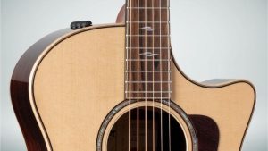 Taylor 14ce Solid Torrefied Spruce top | Sapele Back and sides | Fishman Pick-up