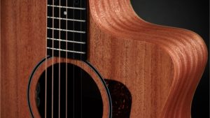 Taylor 24ce Solid Mahogany top | Sapele Back and sides | Fishman Pick-up
