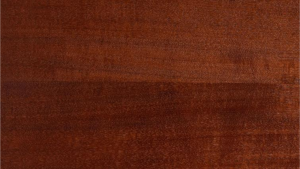 Taylor 24ce Solid Mahogany top | Sapele Back and sides | Fishman Pick-up