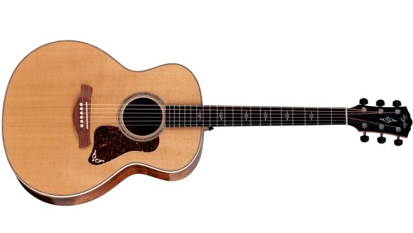 Taylor Gold Label K14e | Super Auditorium | Spruce | Koa back and sides | LR Baggs | Nat - Image 19