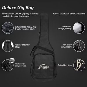 Bromo BAR6H hs | Rockies Parlour acoustic PF Historic HS