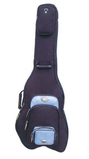 CNB EGB1600 | High Quality Electric Guitar Cover | Warlock model