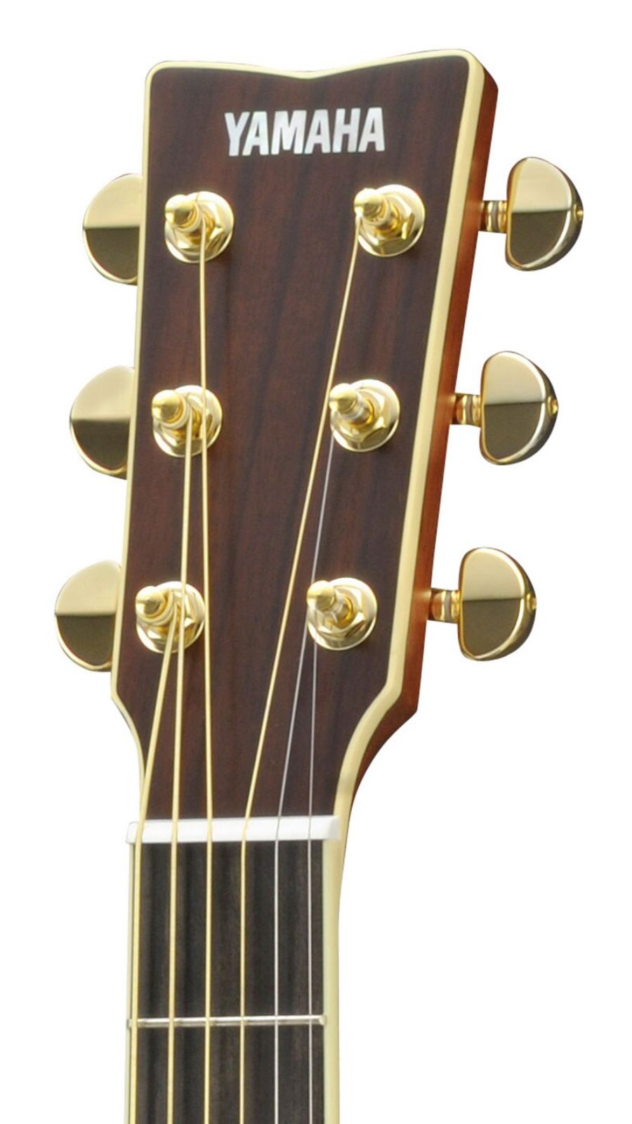 Yamaha LL16 ARE Acoustic Guitar | Natural | with hard gigbag | Waltons Music Yamaha LL16 ARE Acoustic Guitar | Natural | with hard gigbag - Image 5
