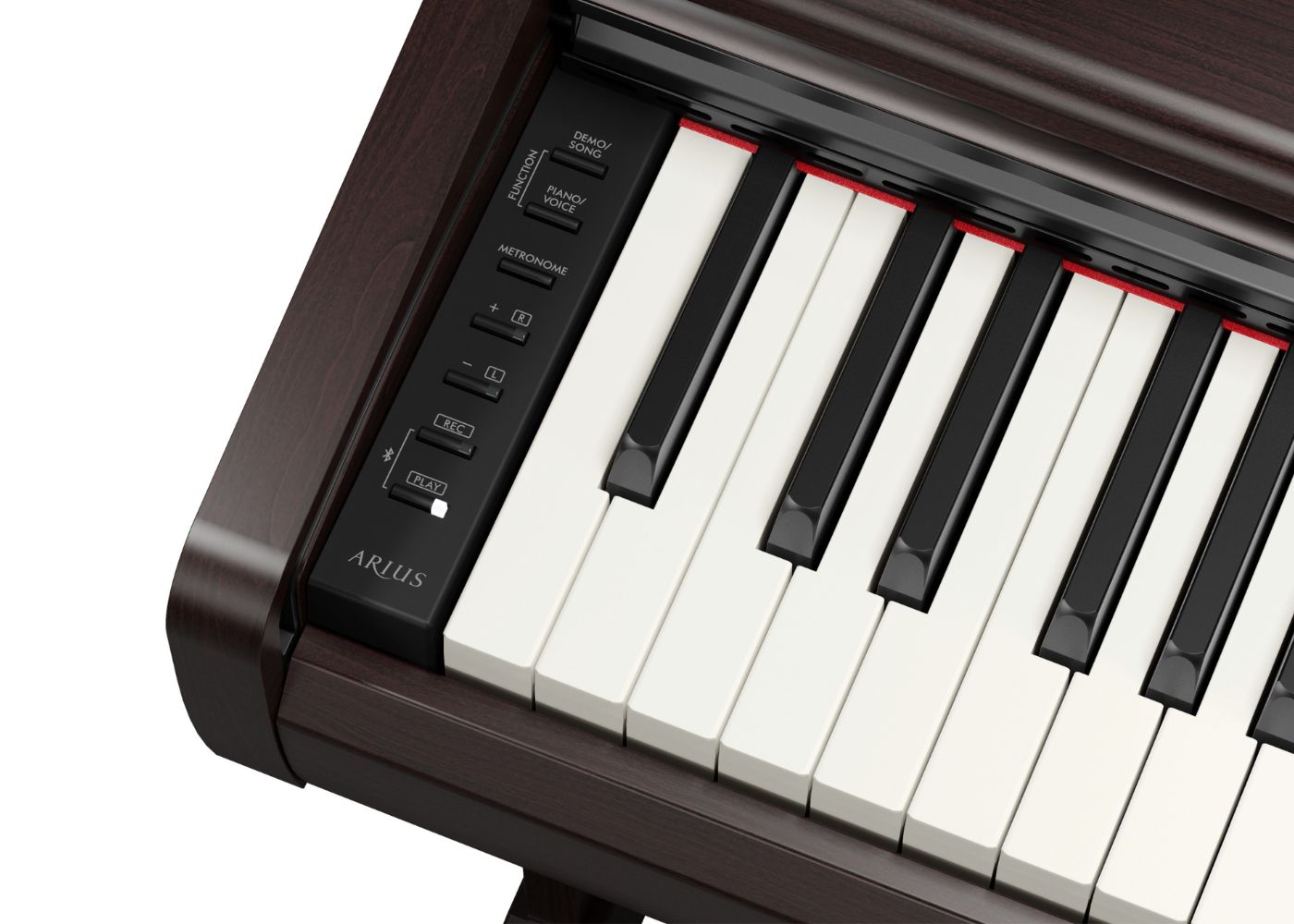 Yamaha YDP146 | Arius Digital Piano | 88 Keys | Rosewood | Waltons Music Yamaha YDP146 | Arius Digital Piano | 88 Keys | Rosewood - Image 2