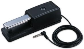 Roland DP-10 Damper Pedal |FP-10,FP-30,FP-60 and most keyboards