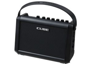 Roland CUBE Street Mini | Battery PA for Performers/Creators