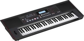 Roland E-X50 | Arranger Keyboard | 61 Keys