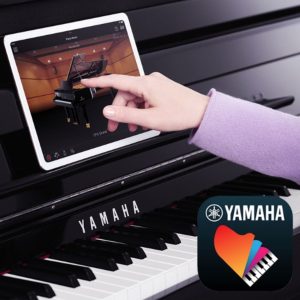 Yamaha YDP166 Standard Bundle | with Piano Stool and Headphones | Rosewood | Waltons Music Yamaha YDP166 Standard Bundle | with Piano Stool and Headphones | Rosewood