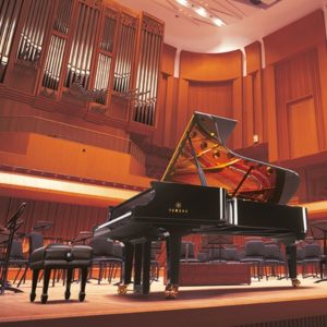 Yamaha YDP166 Standard Bundle | with Piano Stool and Headphones | Rosewood | Waltons Music Yamaha YDP166 Standard Bundle | with Piano Stool and Headphones | Rosewood