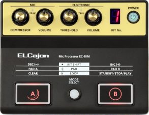 Roland EC10M | El Cajon Microphone Processor
